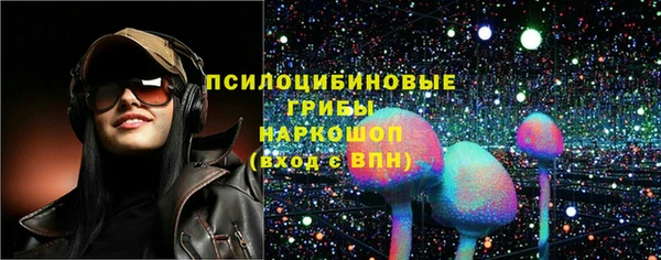 Альфа ПВП Белокуриха