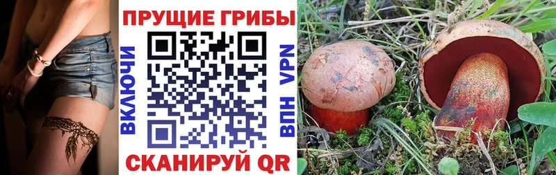 цена   mega ссылка  Псилоцибиновые грибы ЛСД  Городец 