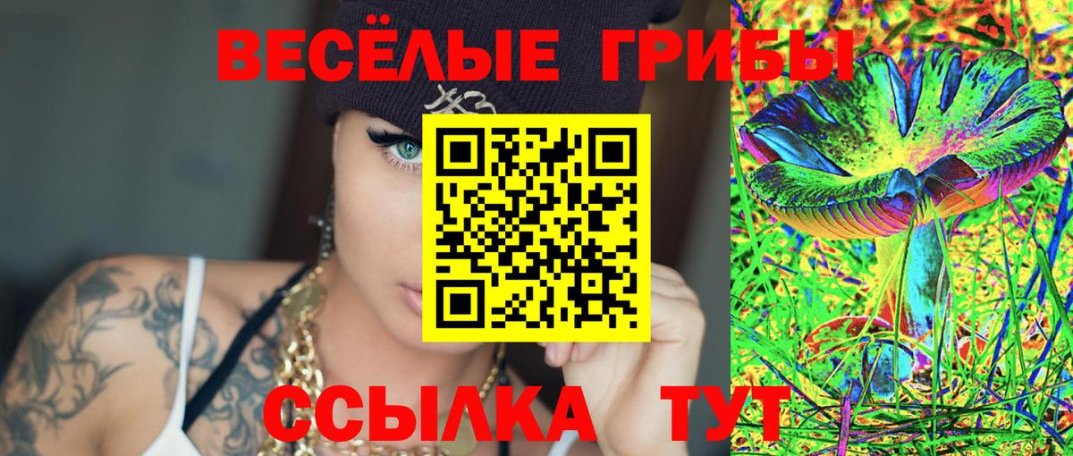 Городец  Псилоцибиновые грибы MAGIC MUSHROOMS  Вход с VPN  Галлюциногенные грибы мицелий 