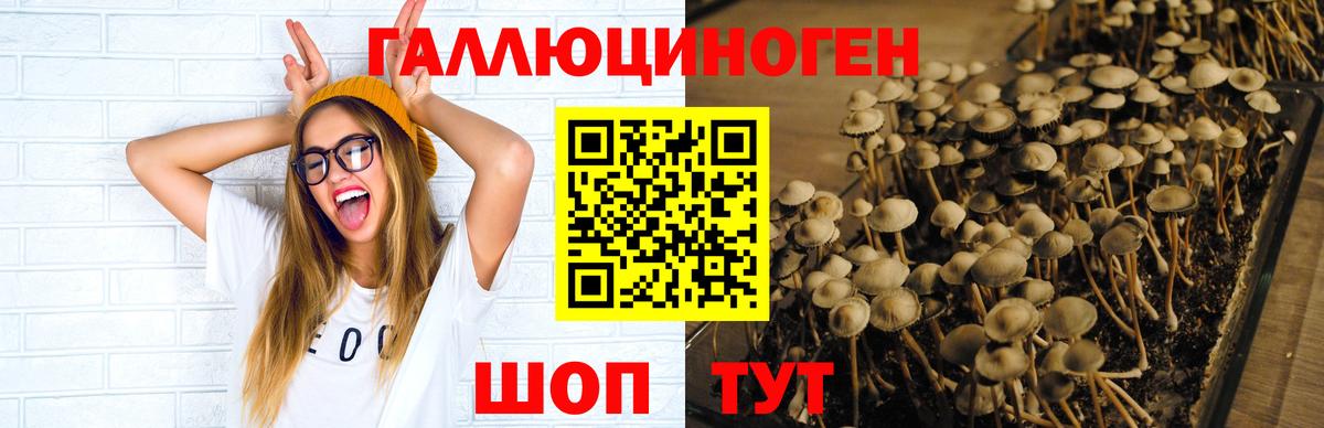Галлюциногенные грибы Magic Shrooms Городец